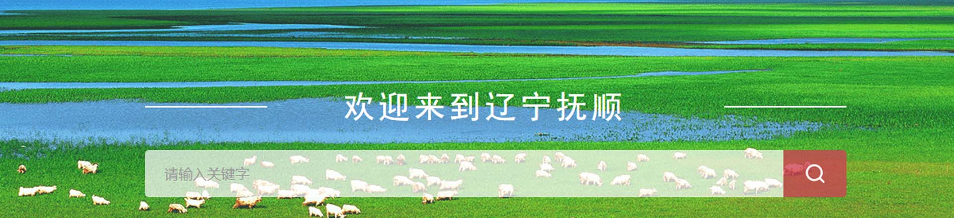 撫順政務服務網上辦事大廳