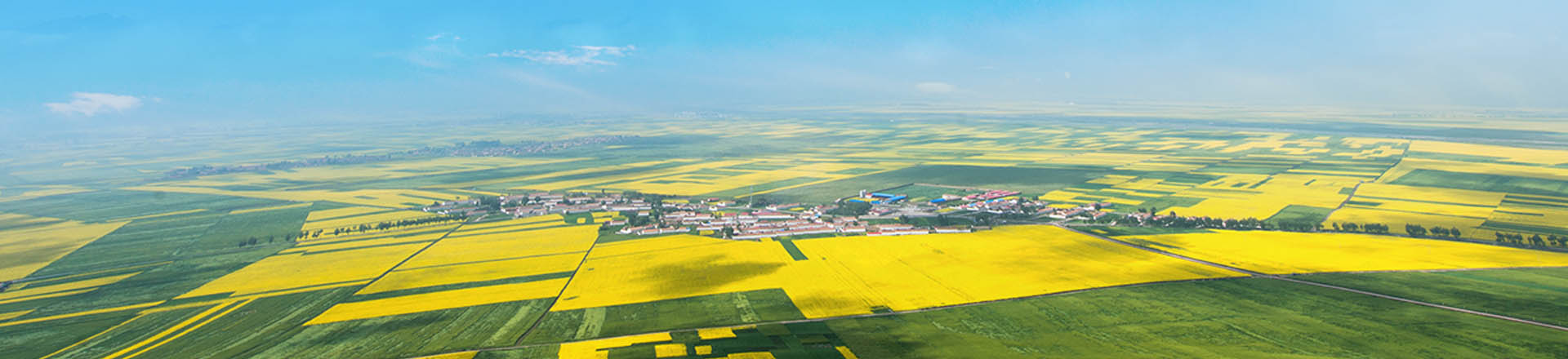 巴彥淖爾政務服務網上辦事大廳