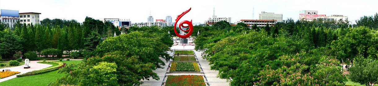 濮陽(yáng)政務(wù)服務(wù)網(wǎng)上辦事大廳