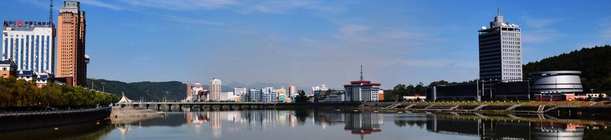 通化政務服務網上辦事大廳