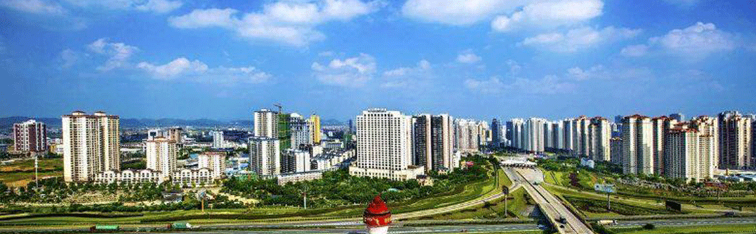 來賓市政務服務網上辦事大廳