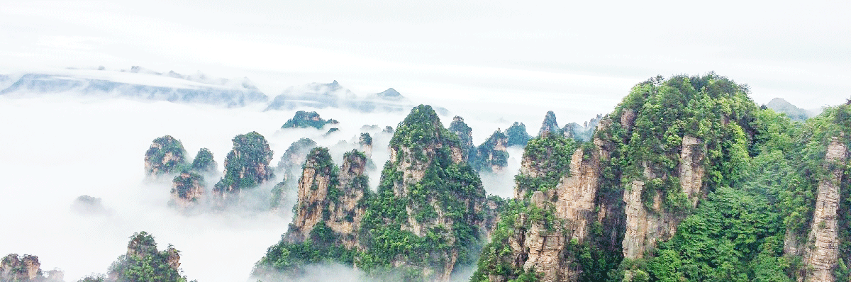 張家界市政務服務網(wǎng)入口