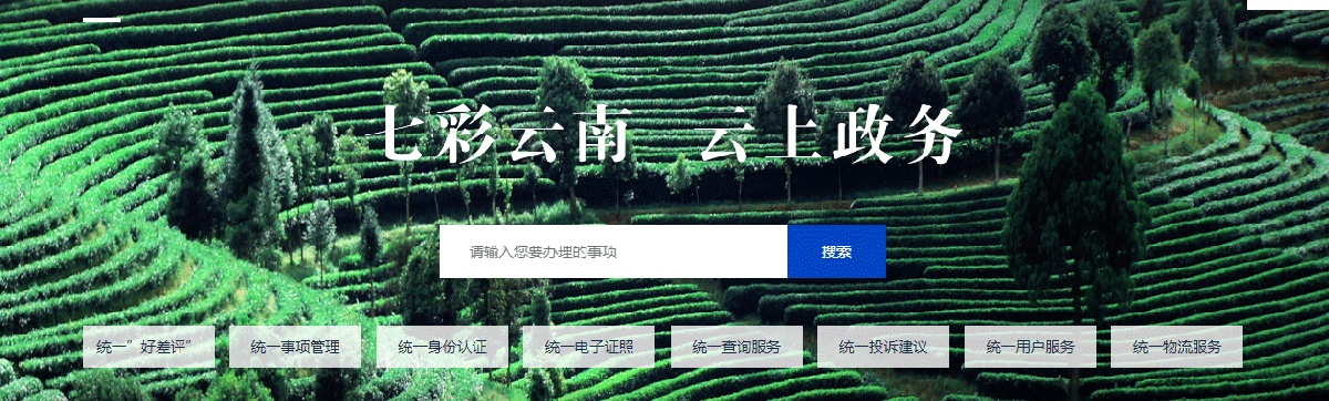 普洱市政務服務網入口