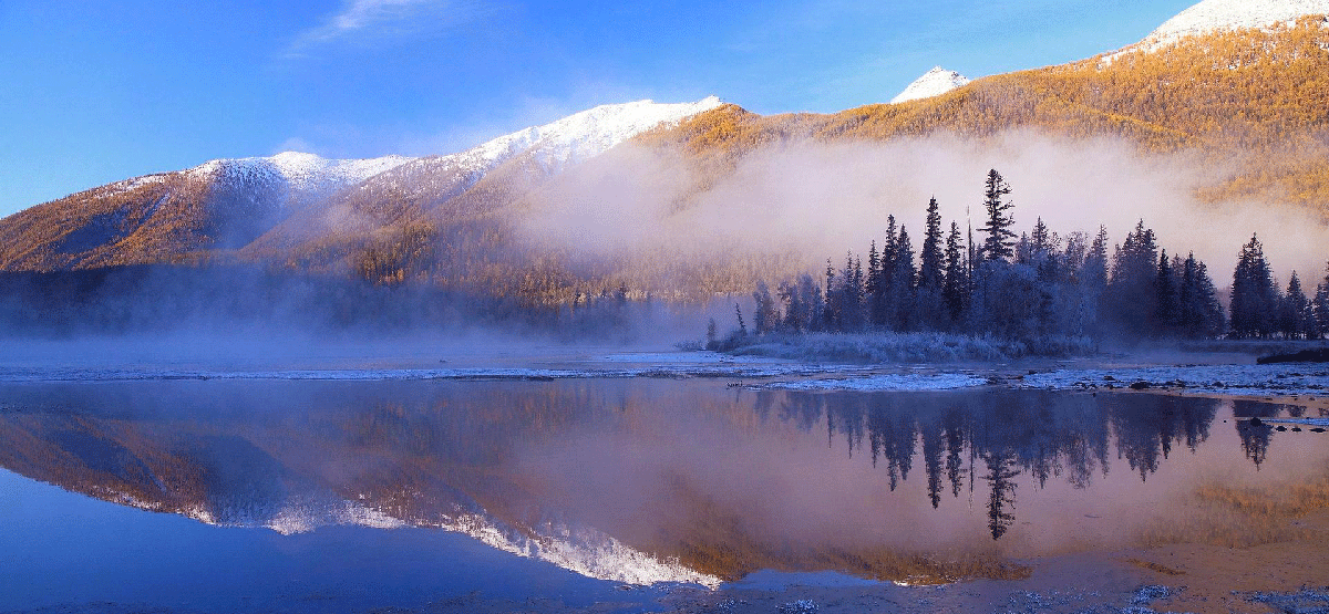 阿勒泰政務服務網(wǎng)入口