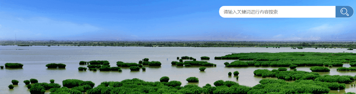 固原市政務服務網(wǎng)入口