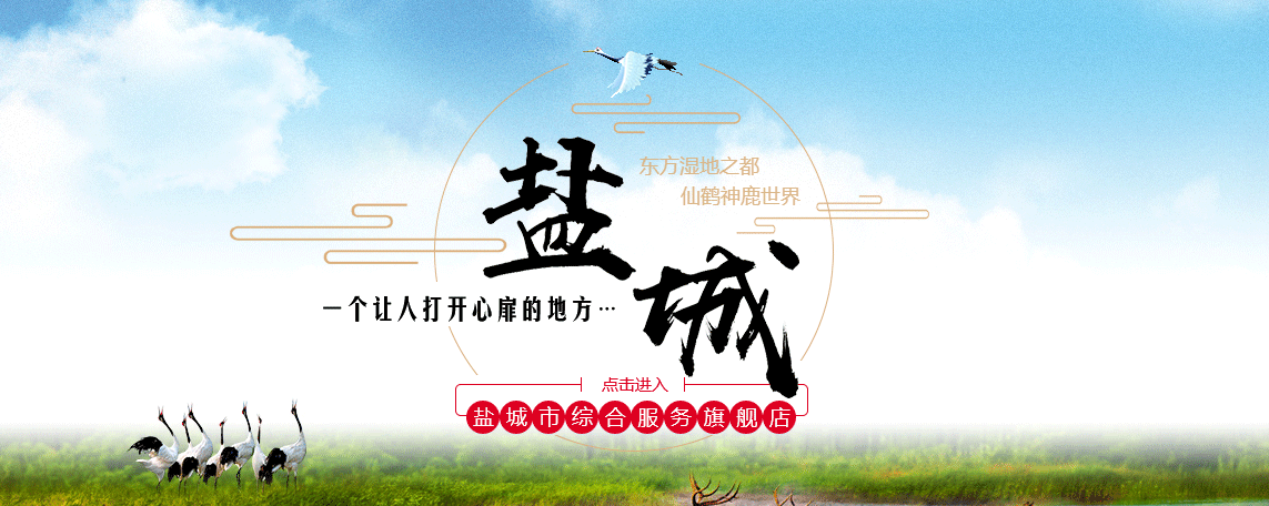 鹽城市政務服務網入口