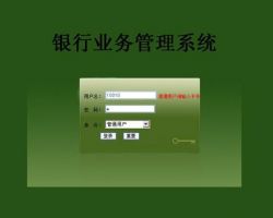 網(wǎng)上銀行軟件項(xiàng)目立項(xiàng)報(bào)告(甲級資質(zhì))