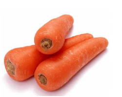 胡蘿卜甙項(xiàng)目可行性研究報(bào)告(甲級資質(zhì))