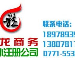 廣西南寧市九龍商務(wù)服務(wù)有限責(zé)任公司