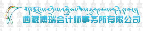 西藏博瑞會計師事務(wù)所有限公司
