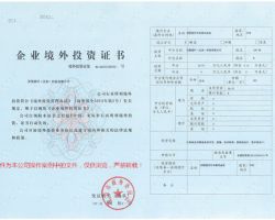 境外投資項(xiàng)目核準(zhǔn)和備案