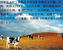 石腦油、燃料油生產(chǎn)、外購(gòu)、耗用、庫(kù)存月度統(tǒng)計(jì)表