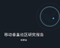 2017年中國移動垂直社區(qū)研究報告（胡雅麗）