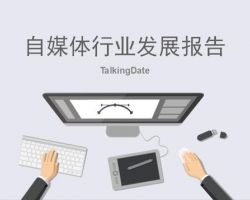 2017年中國(guó)小微商戶信用研究報(bào)告（考拉）(范文下載)