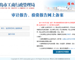 青島企業(yè)審計(jì)報(bào)告、驗(yàn)資報(bào)告網(wǎng)上備案入口
