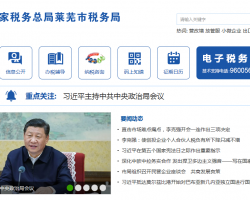 山東濟(jì)南鋼城經(jīng)濟(jì)開(kāi)發(fā)區(qū)稅