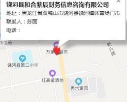 饒河縣和合紫辰財務信息咨詢有限公司