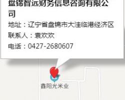 盤(pán)錦智遠(yuǎn)財(cái)務(wù)信息咨詢有限公司