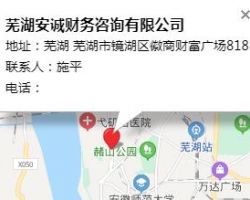 蕪湖安誠(chéng)財(cái)務(wù)咨詢(xún)有限公司