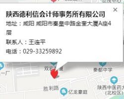 陜西德利信會計師事務(wù)所有限公司