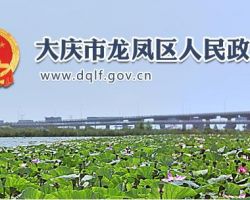 大慶市龍鳳區(qū)政務(wù)服務(wù)中心默認(rèn)相冊