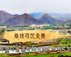 桑珠孜區(qū)農業(yè)農村局