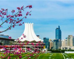 南寧市政務服務局