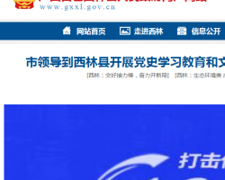 西林縣政務(wù)服務(wù)中心默認相冊