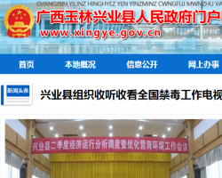 興業(yè)縣大數(shù)據(jù)發(fā)展和政務服