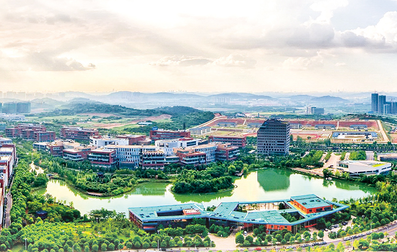 武漢東湖新技術開發(fā)區(qū)城市管理綜合執(zhí)法局