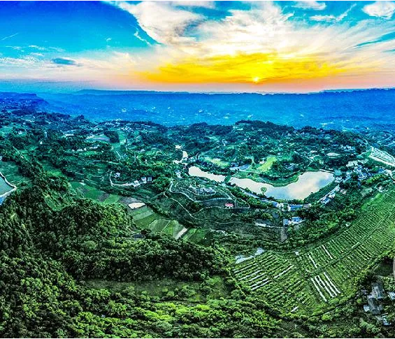 重慶市巴南區(qū)雙河口鎮(zhèn)人民政府