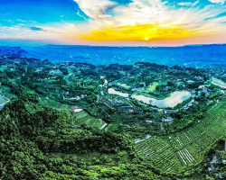 重慶市巴南區(qū)龍洲灣街道街道辦事處