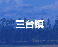 安新縣三臺鎮(zhèn)人民政府