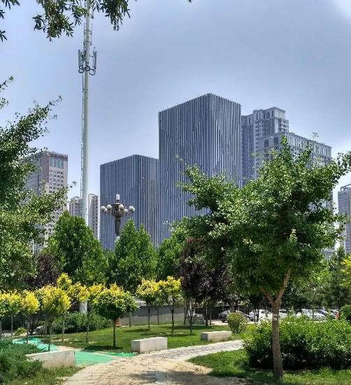 石家莊橋西區(qū)綠化管護(hù)隊(duì)