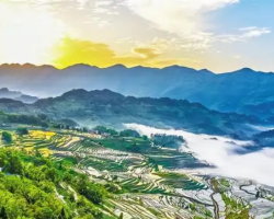 酉陽土家族苗族自治縣經(jīng)濟(jì)