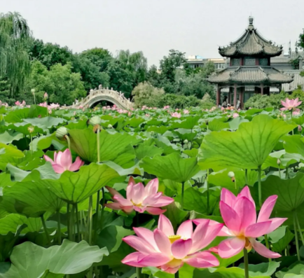 保定市蓮池區(qū)西關(guān)街道辦事處