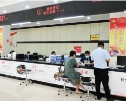 平頂山市衛(wèi)東區(qū)政務服務中