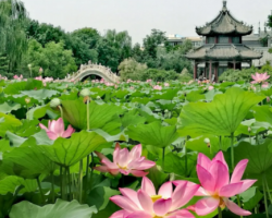 保定市蓮池區(qū)西關(guān)街道辦事處