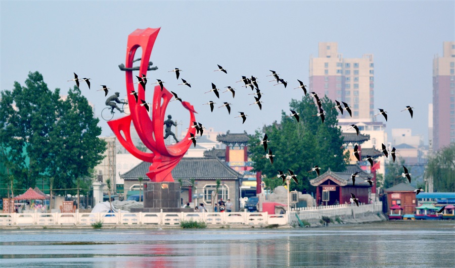 睢縣人力資源和社會(huì)保障局