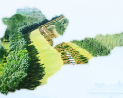 濮陽(yáng)市林業(yè)局