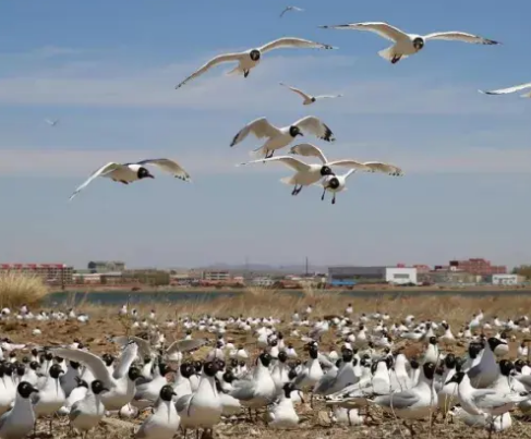 康?？h水務(wù)局