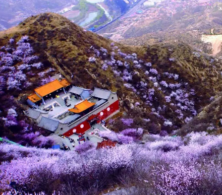 張家口市下花園區(qū)審計局