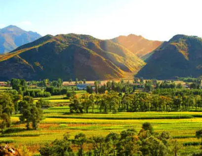 圍場滿族蒙古族自治縣?半截塔鎮(zhèn)人民政府