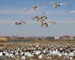 康保縣水務(wù)局