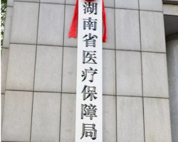 湖南省醫(yī)療保障局 湖南省醫(yī)療保障局