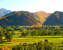 圍場滿族蒙古族自治縣?半截塔鎮(zhèn)人民政府