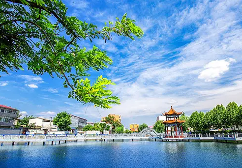 舞陽(yáng)縣農(nóng)業(yè)農(nóng)村局