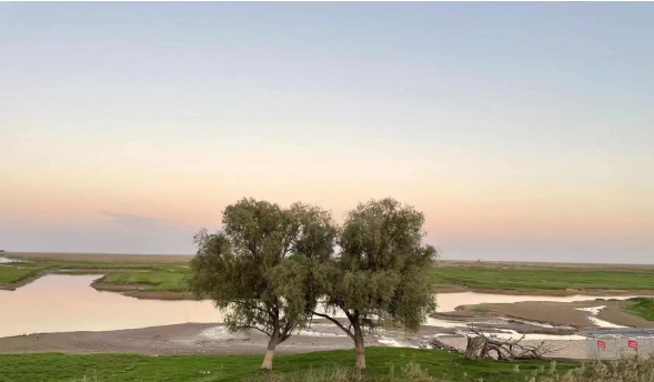 益陽市大通湖區(qū)交通運輸局