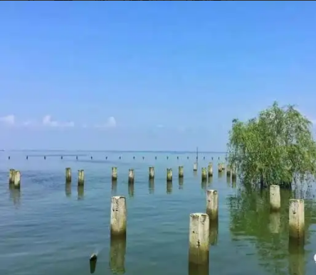 益陽(yáng)市大通湖區(qū)科技和工業(yè)信息化局