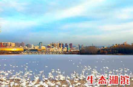 三門(mén)峽市湖濱區(qū)審計(jì)局